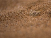 EGR_6214