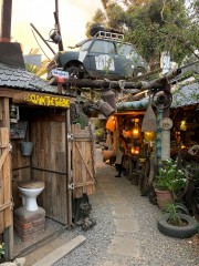 IMG_4913photo
