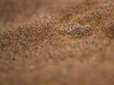 EGR_6214