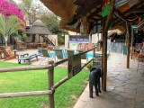 IMG_4891photo